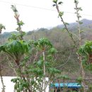 장비농장 이미지