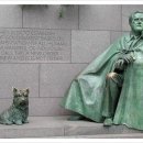 퍼스트펫 이미지