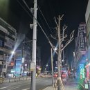 오르쉐 | 20260227 금_강릉 혼자여행(1) 강릉 순두부 장칼국수_알뜨 카페_아르떼 뮤지엄_툇마루 카페