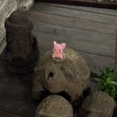 신라고택 | [경상북도 경주] 경주 황리단길숙소 조식제공해주는 한옥 숙소 " 신라고택 " 방문후기