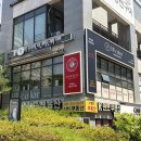 애쉬스튜디오 | 광교염색 추천! 쿨톤 웨딩촬영 염색 애쉬브라운 후기, 하이컬러 광교점 현 스타일리스트