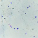 남창미르동물병원 이미지