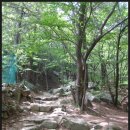 길손이야기 이미지