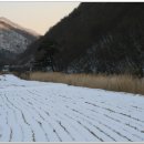 대현2리 이미지