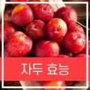 ◆ 초여름의 맛, 자두 이미지