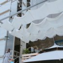 도우도우 이미지