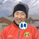 게코아지트크라운렙타일 | 뉴런에 아잔틱 등장?! 크레스티드 게코 퀄리티 증가에 심혈을 기울여보겠습니다!!!