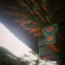 비천계곡펜션 | 강원도, 동해