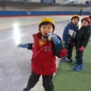 금일 태권도장 이미지