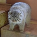 우리종합 동물병원 이미지