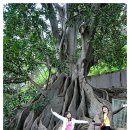 킹스가든(King´s Garden) 이미지