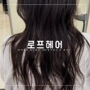범계 미용실 추천 로프헤어 염색 레이어드 전문 박제원 실장 대만족 후기