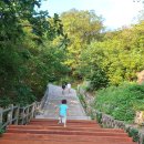 비젼타워 | 남산타워 / 은계호수 한강라면 / 대부도 &#34;조만간식당&#34; 후기