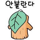 청학 승마클럽 이미지