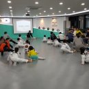 The 행복한 태권도장 이미지