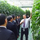 정영식농장 이미지