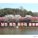 화전소류지 티스토리