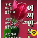 한울타리 - 완도군 개포로62번길 13-13 | 한울타리