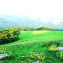 은신목장 이미지