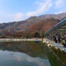 명지산 패밀리 펜션 이미지