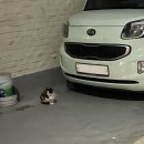 UR(공주시)-[제석골길]-하-3 | 2022.12.25-2023.01.01//템플스테이 체험하기