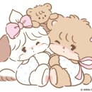 팬시나라 이미지