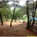 대구대진초등학교 이미지