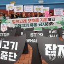 고래식품 이미지