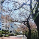 청사포공원 해월정 이미지