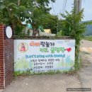아빠랑놀자키즈글램핑 | 경남 아이랑 갈만한곳 합천 아빠랑놀자 키즈글램핑 대만족 후기