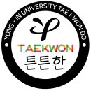 용인대양지태권도장 이미지