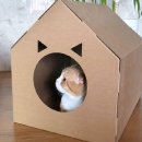 네이처펫 이미지