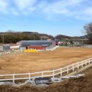피터팬승마캠프 네이버블로그