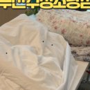 수정빨래방세탁