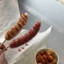 악쓰는하마코인 노래연습장 이미지