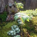 큰골민박 이미지