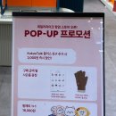 현대백화점 판교점 데일리라이크 팝업스토어 후기｜주방용품·리빙소품 구경