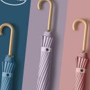 벨라코리아 이미지