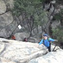 팔봉김밥 이미지