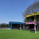 경주시 건천읍 운동장 이미지