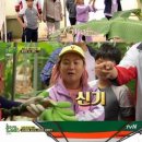 풀뜯소 농장 이미지