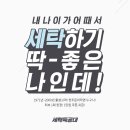 신규세탁 이미지