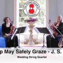 Sheep May Safely Graze - J. S. Bach 이미지