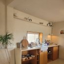 머물수록민박 | 이와 함께한 제주 여행의 쉼! 서귀포스테이 &lt;느린가&gt; 방문후기