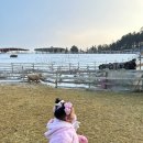 다솜목장 | 가평:) 아이랑 가볼만한곳 "양떼목장"/(24년 1월초 방문)