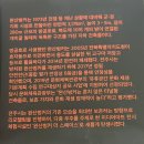 완산-21 | 2026년 2월 21일 토요일 | 전주 가볼만한 곳 - 완산벙커 더 스페이스!