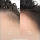 헤어가이드 | 헤어라인문신, 후기 만족도가 높은 이유와 관리 핵심 가이드