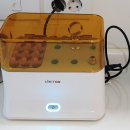 모모치과의원 이미지