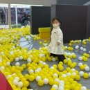 대구 침산동 키즈카페 [히어로플레이파크 침산점]