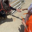 비슬 승마체험장 이미지